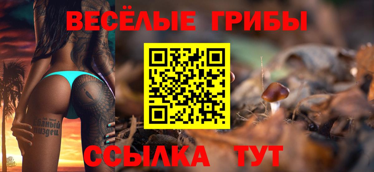 Псилоцибиновые грибы Psilocybe  Вход с VPN  Галлюциногенные грибы ЛСД  Бутурлиновка 